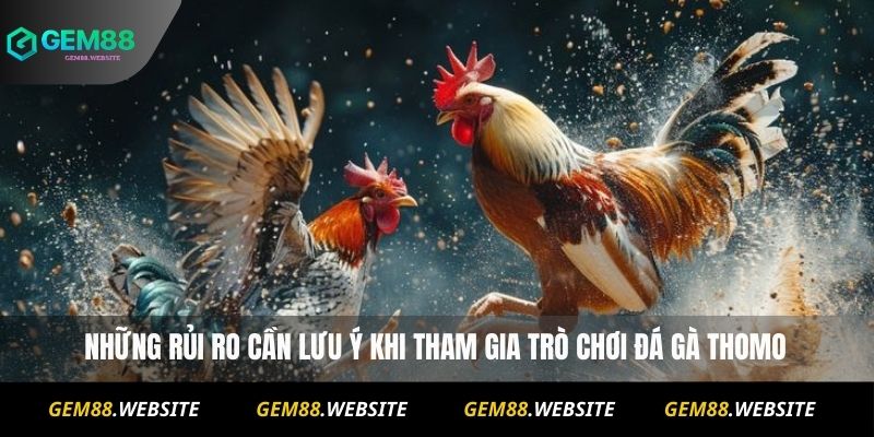 Những rủi ro cần lưu ý khi tham gia trò chơi Đá Gà Thomo