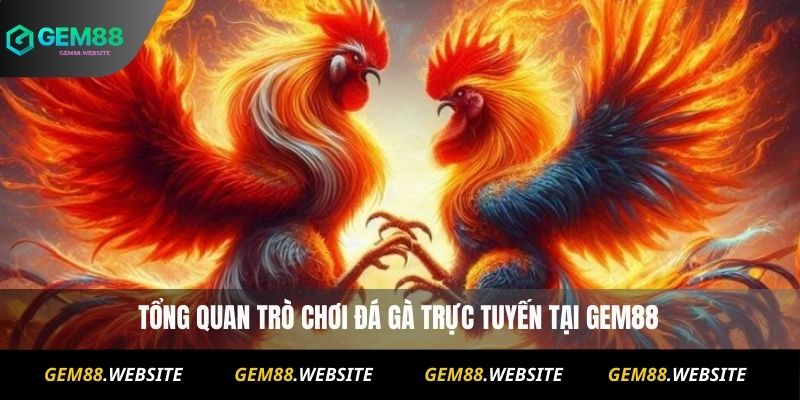 ĐÁ GÀ 1 Tổng quan trò chơi đá gà trực tuyến tại Gem88