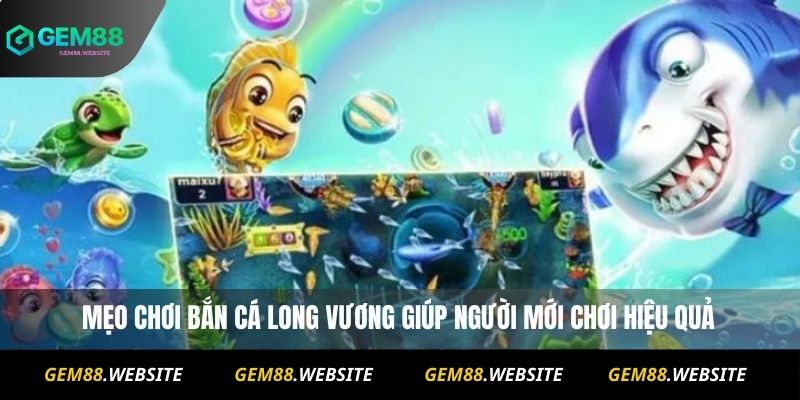 mẹo chơi bắn cá Long Vương giúp người mới chơi hiệu quả