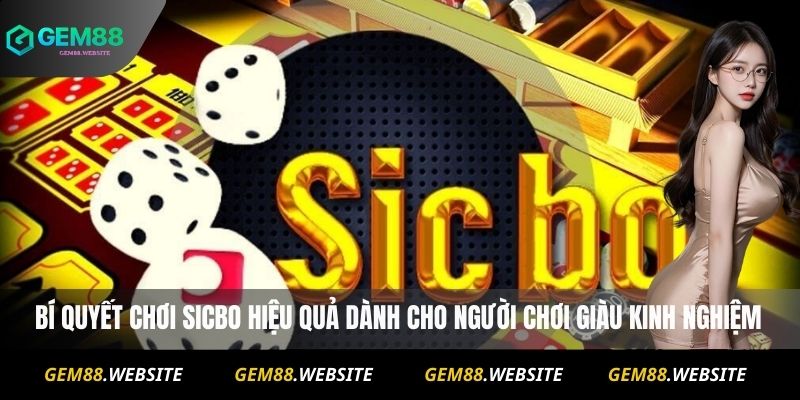 Bí quyết chơi Sicbo hiệu quả dành cho người chơi giàu kinh nghiệm
