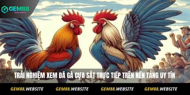 Trải nghiệm xem đá gà cựa sắt trực tiếp trên nền tảng uy tín